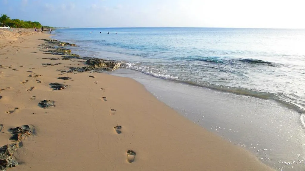 *** מלון Frederiksted Sand Castle On The Beach - Adults Only איי הבתולה של ארצות הברית