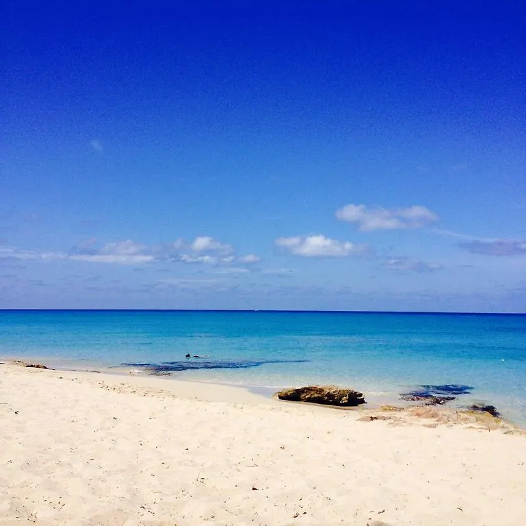 Hotel Sand Castle On The Beach - Adults Only Frederiksted