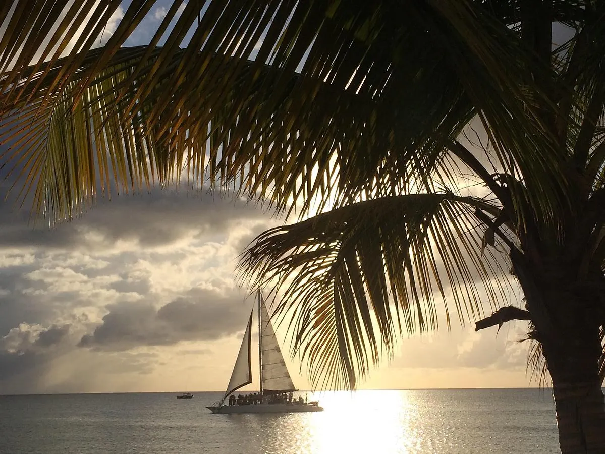 Sand Castle On The Beach - Adults Only Frederiksted Hotel