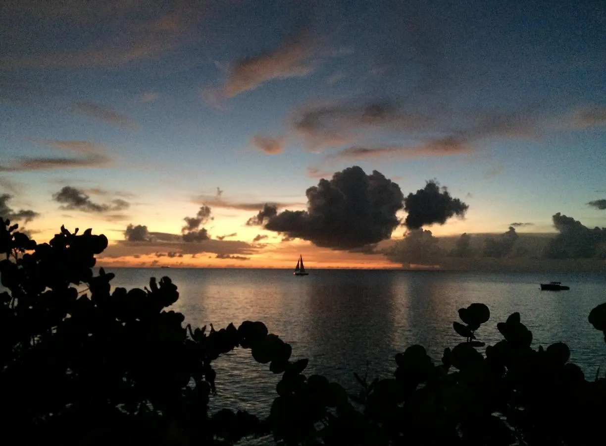 Sand Castle On The Beach - Adults Only Frederiksted