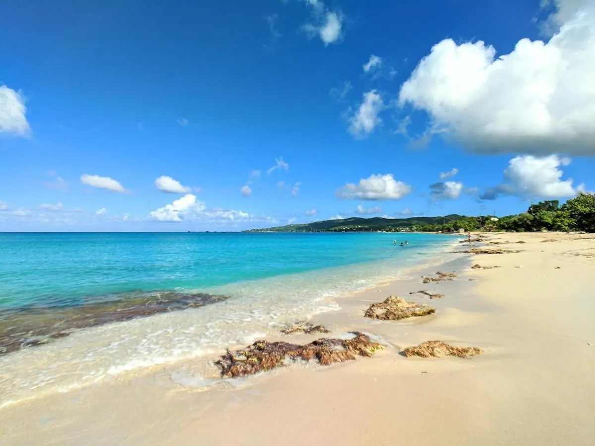 Sand Castle On The Beach - Adults Only Frederiksted United States Virgin Islands